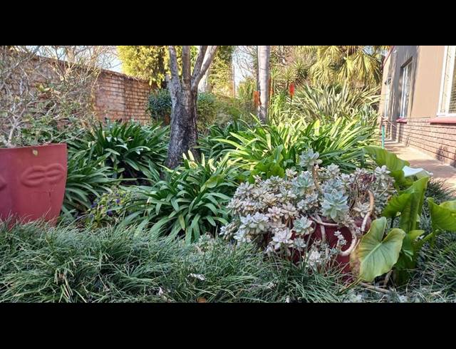 3 BEDROOM HOUSE FOR SALE IN DASPOORT